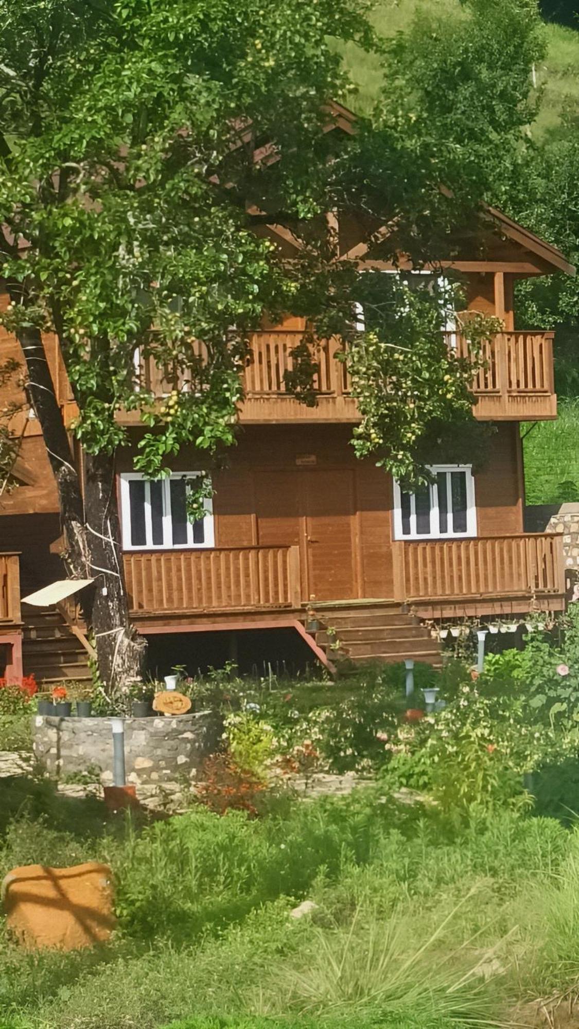 Vanprastha Resorts Dwarahat Экстерьер фото